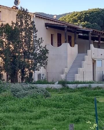 Apartament U Palmu Sagone  Zewnętrze zdjęcie