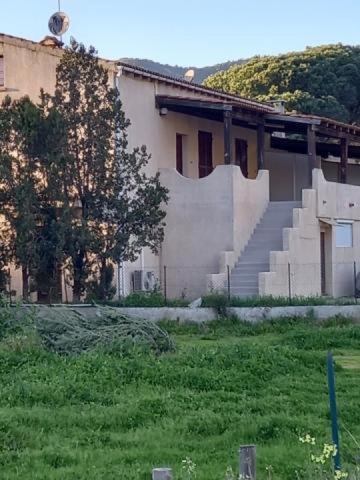 Apartament U Palmu Sagone  Zewnętrze zdjęcie